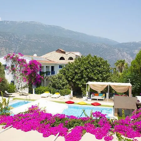 Otel Thetis 4*