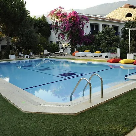 Otel Thetis